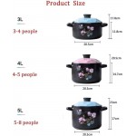 Z-Color Casserole à Soupe ménagère Pot de céramique résistant à la température élevée utilisé pour Les Flammes Ouvertes Les poêles à gaz Les poêles électriques Color : Blue Size : 4L - B08XNKB9W7L