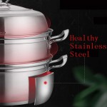 AYHa Gourmet antiadhésifs à induction à vapeur Pot | marmite à soupe | Cuit-vapeur | Insérez vapeur avec couvercle en verre et en acier Poignée Tous | 26cm | lave-vaisselle - B07Z78FG39Y
